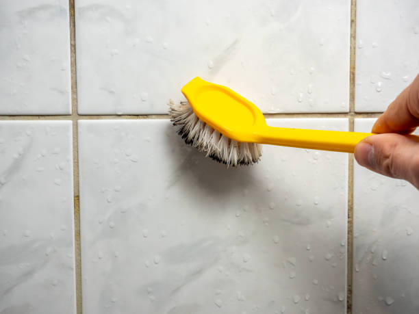 Best Mold Testing  in Inesville, GA